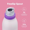 Owala FreeSip Twist Stainless Steel Water Bottle 24 oz Minty Horizons(Dreamy Field)