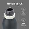 Owala FreeSip Twist Stainless Steel Water Bottle 24 oz Minty Horizons(Foggy Tide)