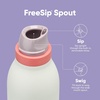 Owala FreeSip Twist Stainless Steel Water Bottle 24 oz Minty Horizons(Minty Horizon)