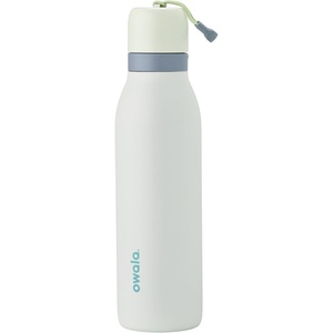 Owala FreeSip Twist Stainless Steel Water Bottle 24 oz Minty Horizons(Iced Breeze)