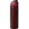 Owala FreeSip Kids Stainless Steel Water Bottle 16 oz Treasure Hunt(Black Cherry)