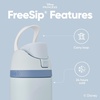 Owala Marvel FreeSip Stainless Steel Water Bottle 24 oz Black Panther(Cinderella)