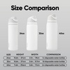 Owala FreeSip Kids Stainless Steel Water Bottle 16 oz Trail On(Alpine Sport)