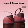 Owala FreeSip Kids Stainless Steel Water Bottle 16 oz Trail On(Black Cherry)