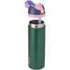 Owala FreeSip Kids Stainless Steel Water Bottle 16 oz Trail On(Forest Fairy)