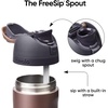 Owala FreeSip Kids Stainless Steel Water Bottle 16 oz Joshua Tree(Desert Smoke)