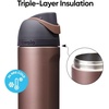Owala FreeSip Kids Stainless Steel Water Bottle 16 oz Joshua Tree(Desert Smoke)