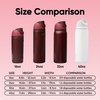 Owala Kids FreeSip Insulated Stainless Steel Water Bottle with Straw for Sports, Travel, and School BPA-Free Sports Water Bottle, 16 oz, Black Cherry(Black Cherry)