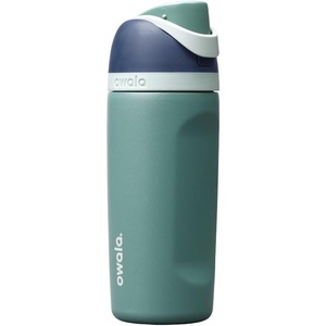 Owala FreeSip Kids Stainless Steel Water Bottle 16 oz Joshua Tree(Joshua Tree)