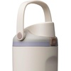 Owala 30 fl oz Stainless Steel Special Edition FreeSip Sway Insulated Water Bottle – Cloud Watching