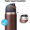 Owala FreeSip Stainless Steel Water Bottle 32 oz Round We Ghost(Desert Smoke)