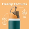 Owala FreeSip Stainless Steel Water Bottle 32 oz Round We Ghost(Surfs Edge)