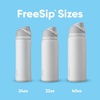 Owala FreeSip Stainless Steel Water Bottle 32 oz Round We Ghost(Surfs Edge)