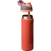 Owala FreeSip Stainless Steel Water Bottle 32 oz Round We Ghost(Terracotta Sunset)