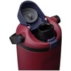 Owala 40oz FreeSip Sway Stainless Steel Water Bottle – Burgandy Bay