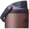Owala FreeSip Sway Stainless Steel Water Bottle 30 oz Desert Smoke