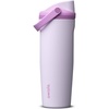 Owala FreeSip Sway Stainless Steel Water Bottle 30 oz Lilac You A lot